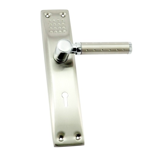 "Zion" SS Door Handle with SS Plate 